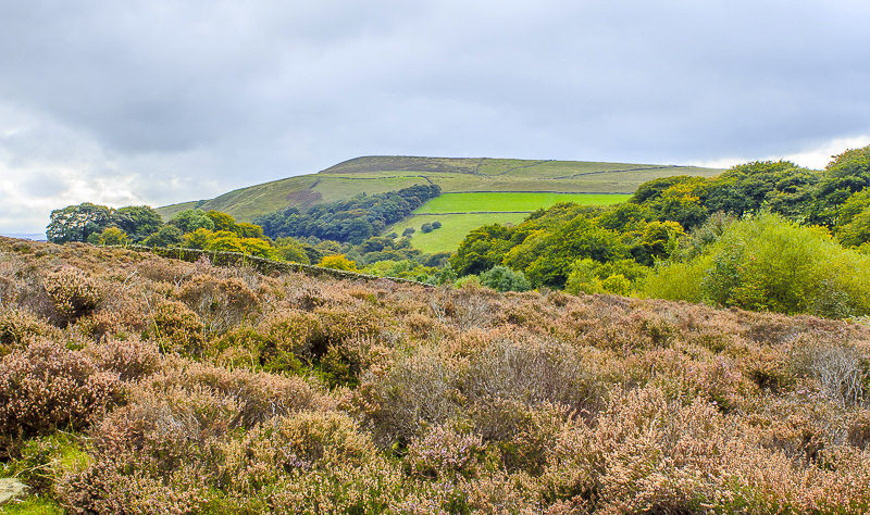 Lantern Pike Lantern Pike
